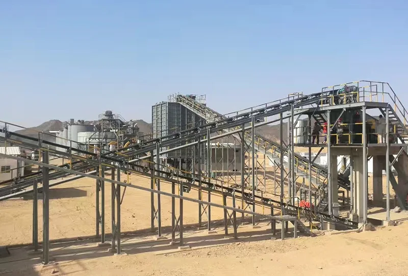 Zimbabwe 750TPD Gold Mineral Processing CIP Project